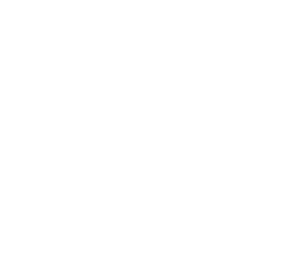 Andolini's pizzeria logo white transparent