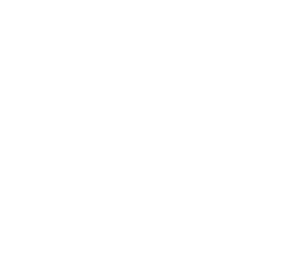 Andolini's pizzeria logo white transparent